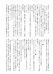 聖晶希石エスフェール Noyaux insérés, 日本語