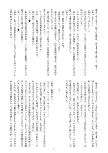 聖晶希石エスフェール Noyaux insérés, 日本語