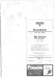 Brandish 3, 日本語