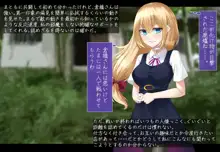 魔法少女ローザエンデ Loop:6 穢された二人の絆, 日本語