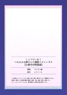 しょうたいむ!～みなみお姉さんの濃密スキャンダル2【小冊子付特装版】, 日本語