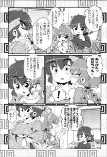 あかねがらんま♀にゾッコンな件まとめ本, 日本語