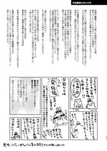 おもいでせっくす総集編, 日本語