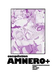 AMNERO総集編, 日本語