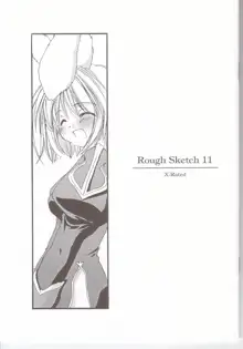 Rough Sketch 11, 日本語