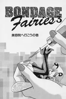 ボンデージ フェアリーズ Vol.3, 日本語