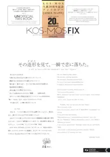 KOS-MOS FIX, 日本語