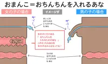 わたしたちのからだ〜こどもができるしくみ〜 第2版, 日本語