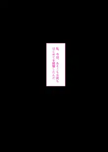 デリヘル初日～お嬢様 宮下さん～, 日本語