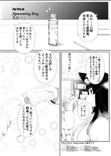 ケモ姉さん8, 日本語