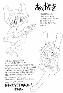 Burney’s Bunny Shop 新装開店!, 日本語