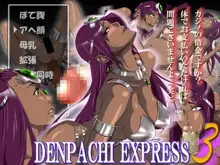 DQIV褐色姉妹CG&ノベル集 電八EXPRESS Vol.3 ～借金返済編～, 日本語