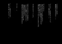 高町なのは, 日本語