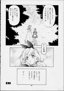 ALICE IN SLAVE LAND, 日本語