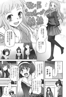 少女達の茶道ism, 日本語