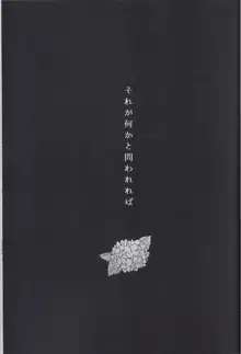 それが何かと問われれば, 日本語