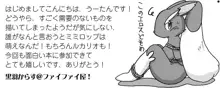 Lucario and Lopunny doujin, 日本語