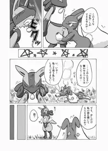 Lucario and Lopunny doujin, 日本語