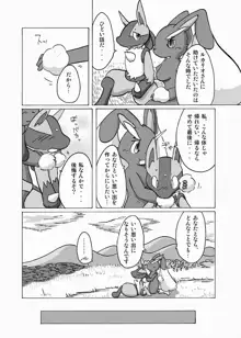 Lucario and Lopunny doujin, 日本語