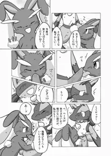 Lucario and Lopunny doujin, 日本語