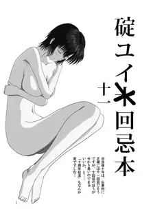 碇ユイ十回忌本 beyond the time, 日本語