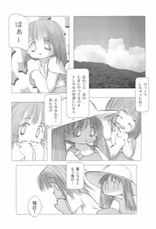 婆娑羅絵集, 日本語