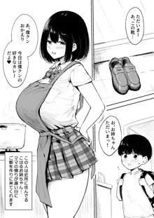 近所のお姉ちゃんとおるすばん, 日本語