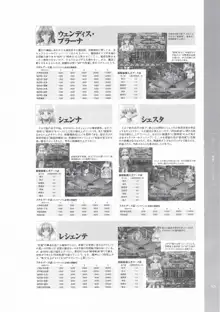 戦女神２ 失われし記憶への鎮魂歌 ビジュアルファンブック, 日本語