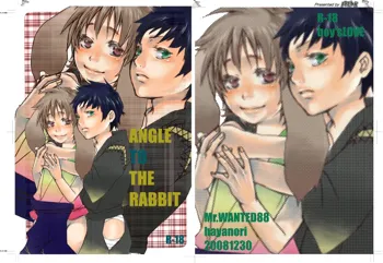 ANGLE TO THE RABBIT, 日本語