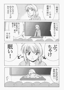 Saber ～ヒロユキFate同人誌総集編＋α～, 日本語