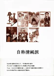 Saber ～ヒロユキFate同人誌総集編＋α～, 日本語