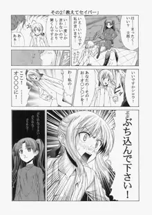 Saber ～ヒロユキFate同人誌総集編＋α～, 日本語