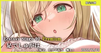 Ecstasy Stage 90 Premium 足でしゅがは, 日本語