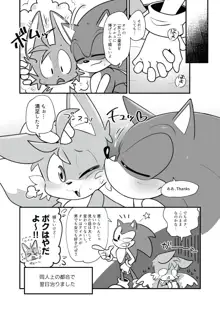 Tails and Sonic's special Fuss, 日本語