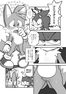 Tails and Sonic's special Fuss, 日本語