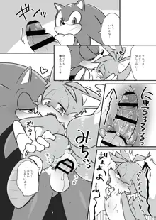 Tails and Sonic's special Fuss, 日本語