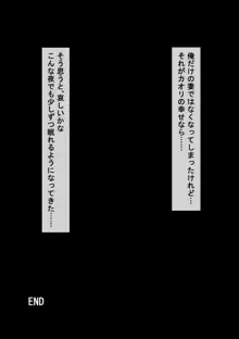 愛妻、同意の上、寝取られ, 日本語