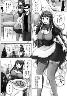 調教→屈服→肉奴隷, 日本語