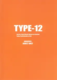 TYPE-12, 日本語