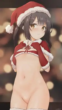 ホワイト（かけ）クリスマス美遊ちゃん, 日本語