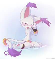 Gatomon - Ancesra, 日本語