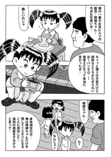 檸檬ちゃんとロリコン保育士, 日本語