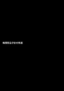 『痴漢特急孕ませ快速 前・後編』, 日本語