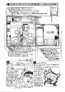 たとえば母が 2, 日本語