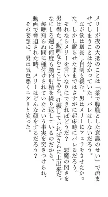 秘封レイプ脅迫調教人生強制終了合同, 日本語