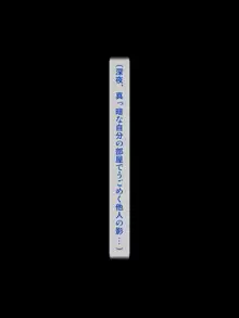 くノ一お姉さんの房中術!, 日本語