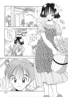 オレンジ色の花, 日本語