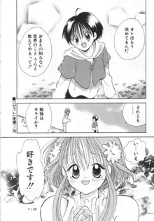 オレンジ色の花, 日本語