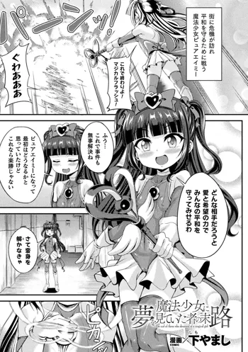 魔法少女に夢を見ていた者の末路, 日本語