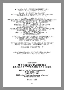 堕チル魔法少女追加記録3-魔法少女、キモデブ中年男に抱かれた日々の記録-, 日本語